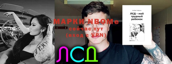 ALPHA-PVP Новозыбков