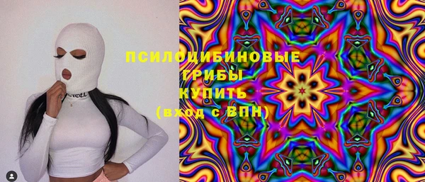 не бодяженный Новодвинск