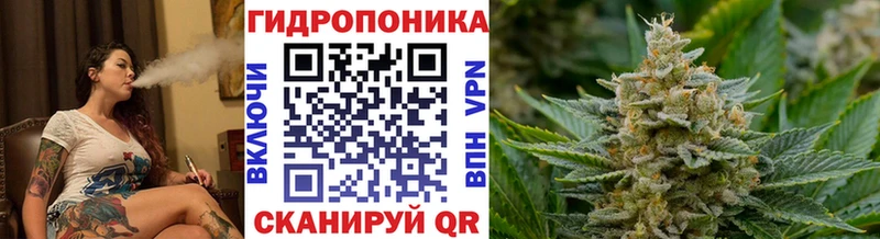 хочу Переславль-Залесский Бошки Шишки ГИДРОПОН